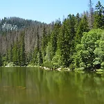 Na Peci 木屋 Želnava
