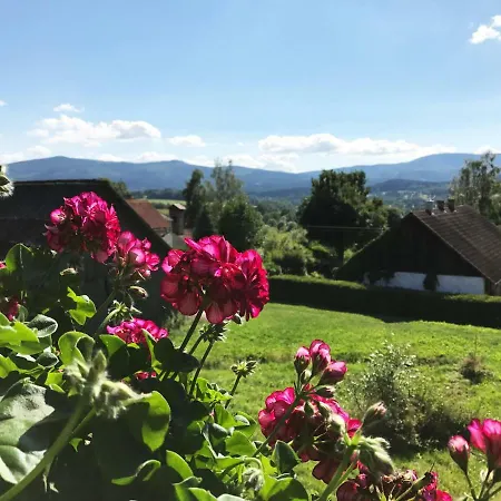 Dağ evi Chalupa Na Peci Želnava